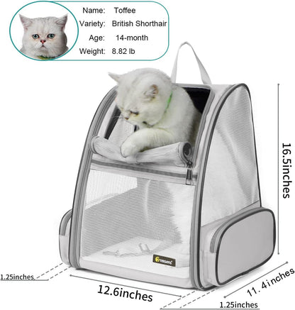 Texsens Pet Backpack Carrier for Small Cats Dogs | Ventilated Design, Safety Straps, Buckle