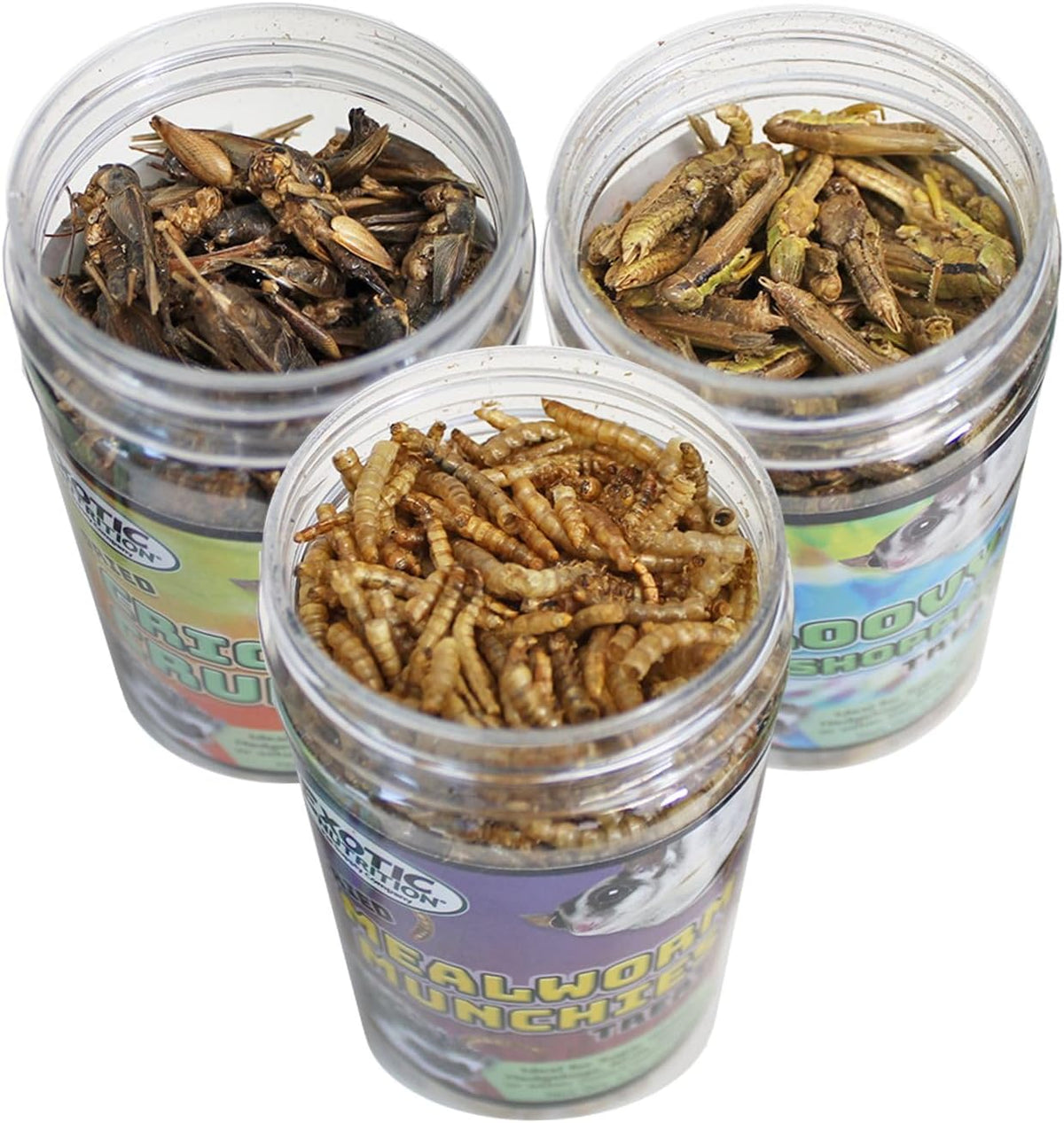 Exotic Nutrition Dried Insect 3 Pack - Crickets, Grasshoppers, Mealworms - for Sugar Gliders