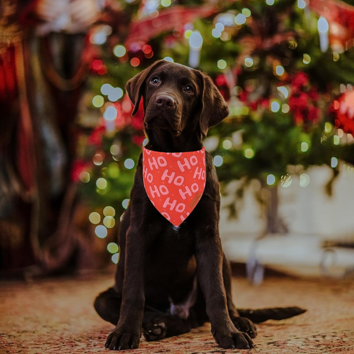 PTDECOR Christmas Dog Bandana, Xmas HOHO Santa Design Reversible Holiday Dog Scarf, Triangle