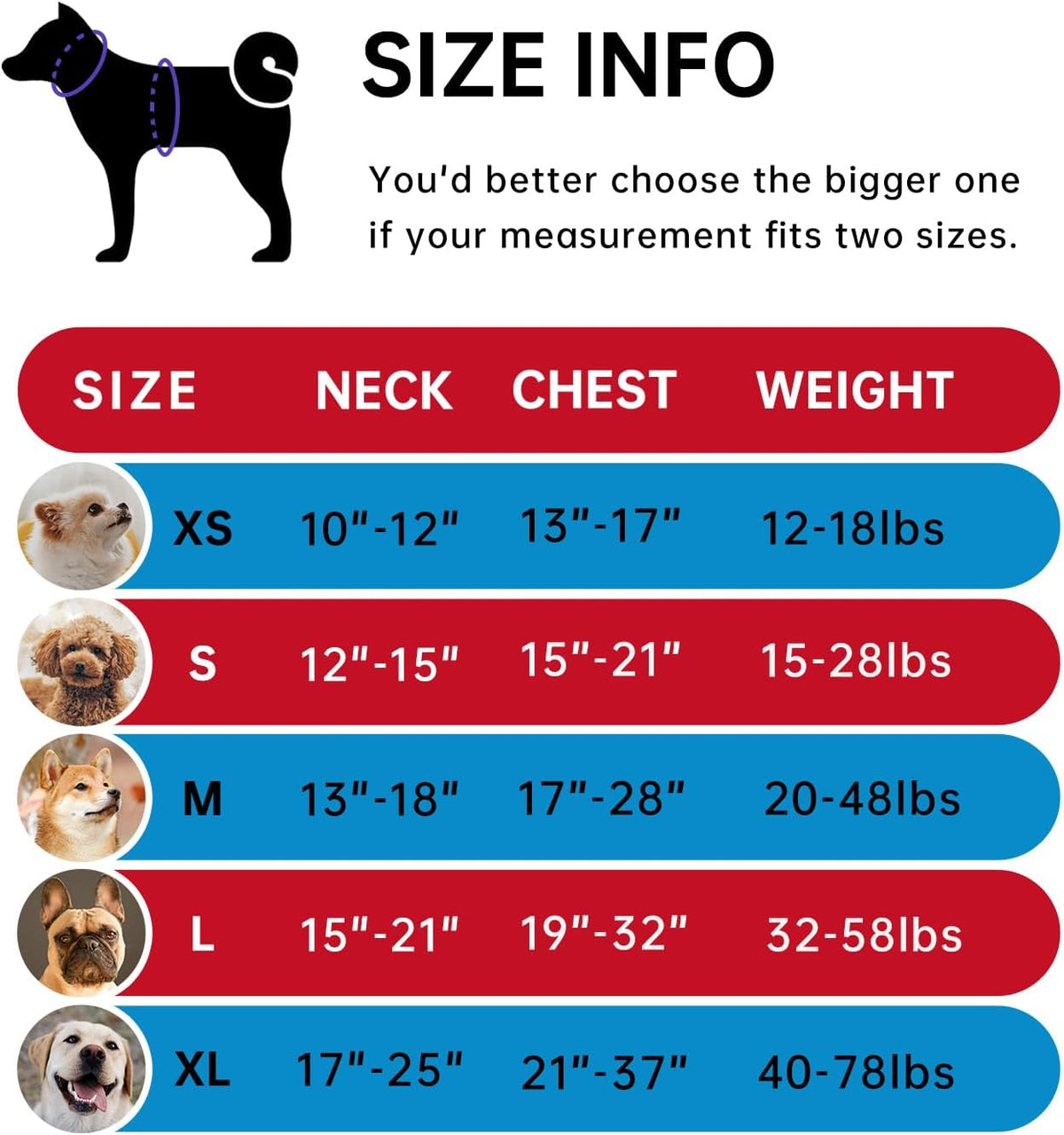 IVY&LANE No Pull Dog Harness for Large Dogs, Dog Vest Harness with Leash, Safety Belt and Storage