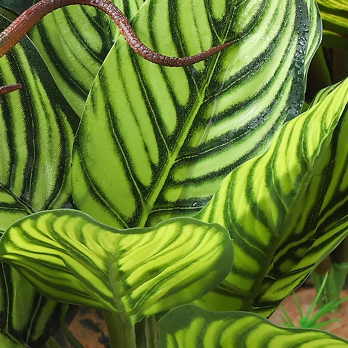 IBWell Reptile Terrarium Plants - Tortoise Habitat Accessories, Artificial Spider Plant for Gecko