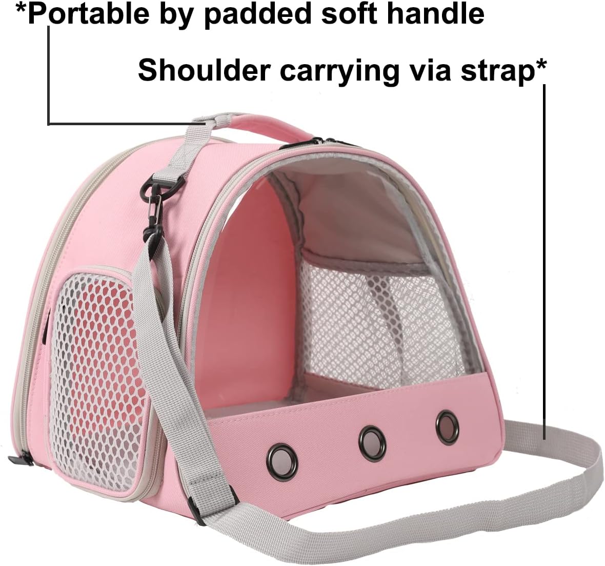Bearded Dragon Carrier, Lizards & Small Animal Travel Carrier for Sugar Glider, Hedgehog, Rat