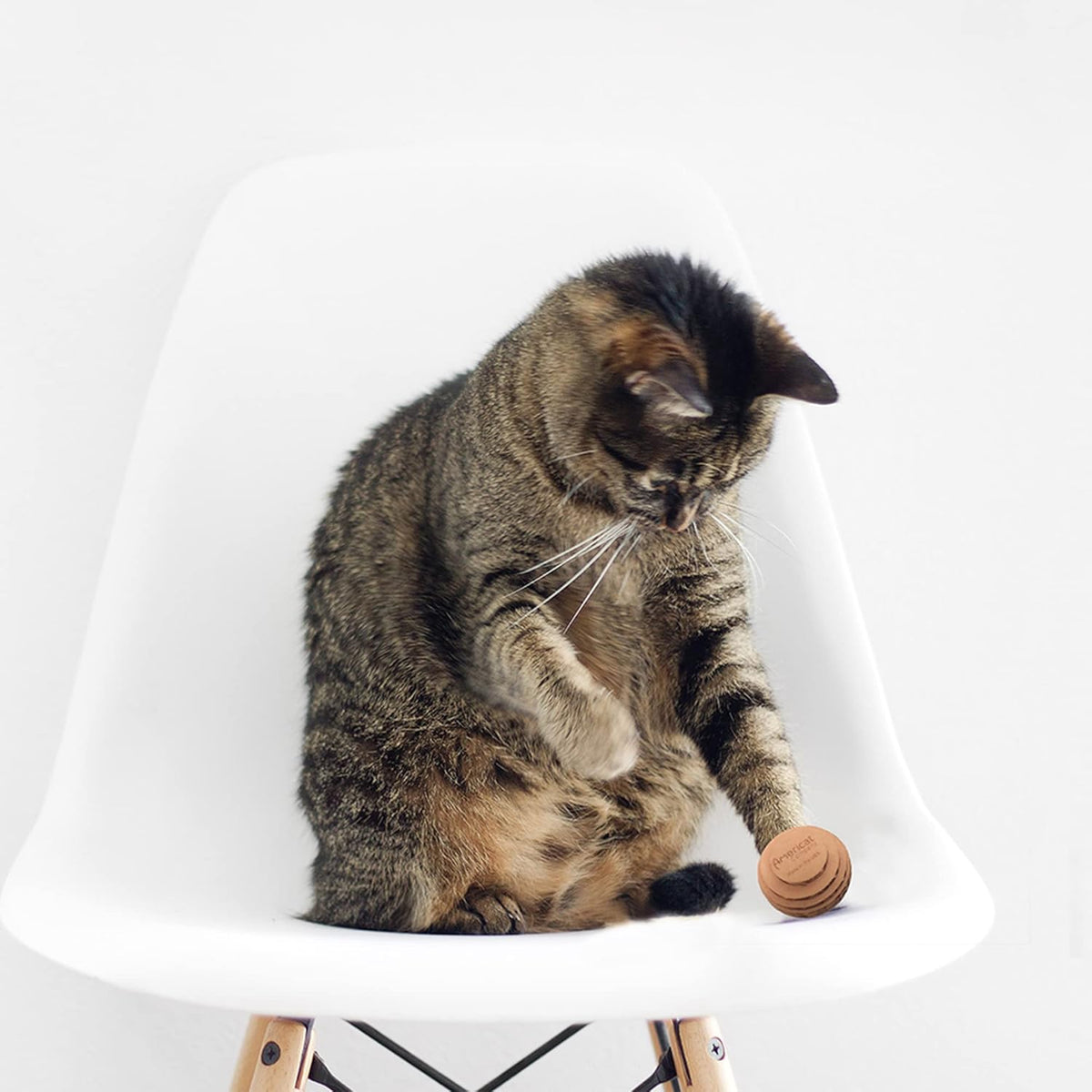 Cat Ball Toys by Americat – Made in USA – Safe Cardboard Cat Toys – for Interactive and Independent