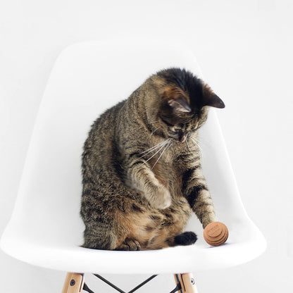 Cat Ball Toys by Americat – Made in USA – Safe Cardboard Cat Toys – for Interactive and Independent