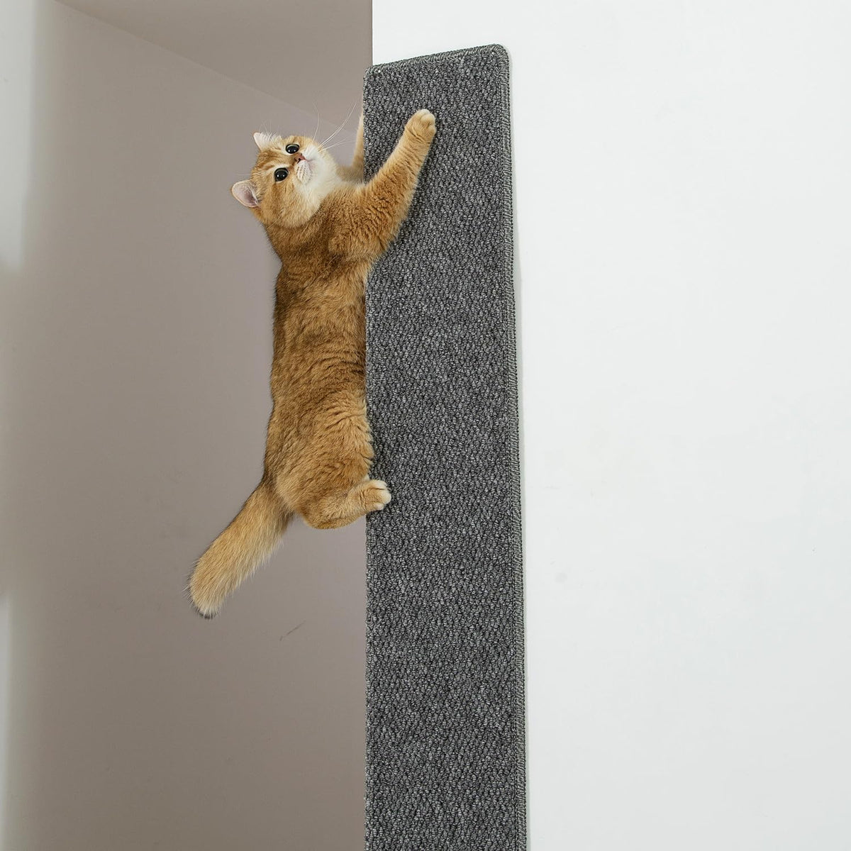 SHENGOCASE Thickened Cat Wall Corner Climbing Carpet, Cat Wall Furniture, Wall Corner Scratcher