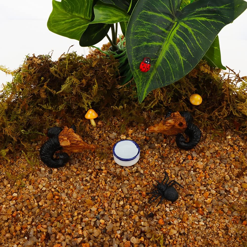 6 Pcs Spider Micro Water Bowl Mini Ceramic Dish for Spider Tarantula Millipede Tiny Reptile (Small: