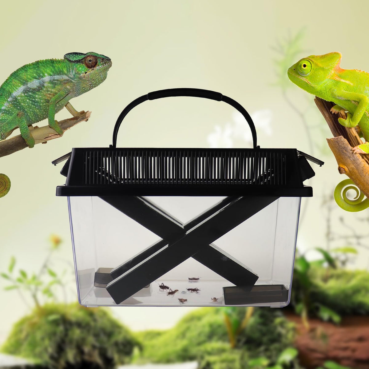 2-Pack Critter Keeper, Large and Middle Sizes, Equipped with Food Tweezers and Brushes, Cricket Pen