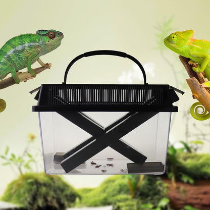 2-Pack Critter Keeper, Large and Middle Sizes, Equipped with Food Tweezers and Brushes, Cricket Pen
