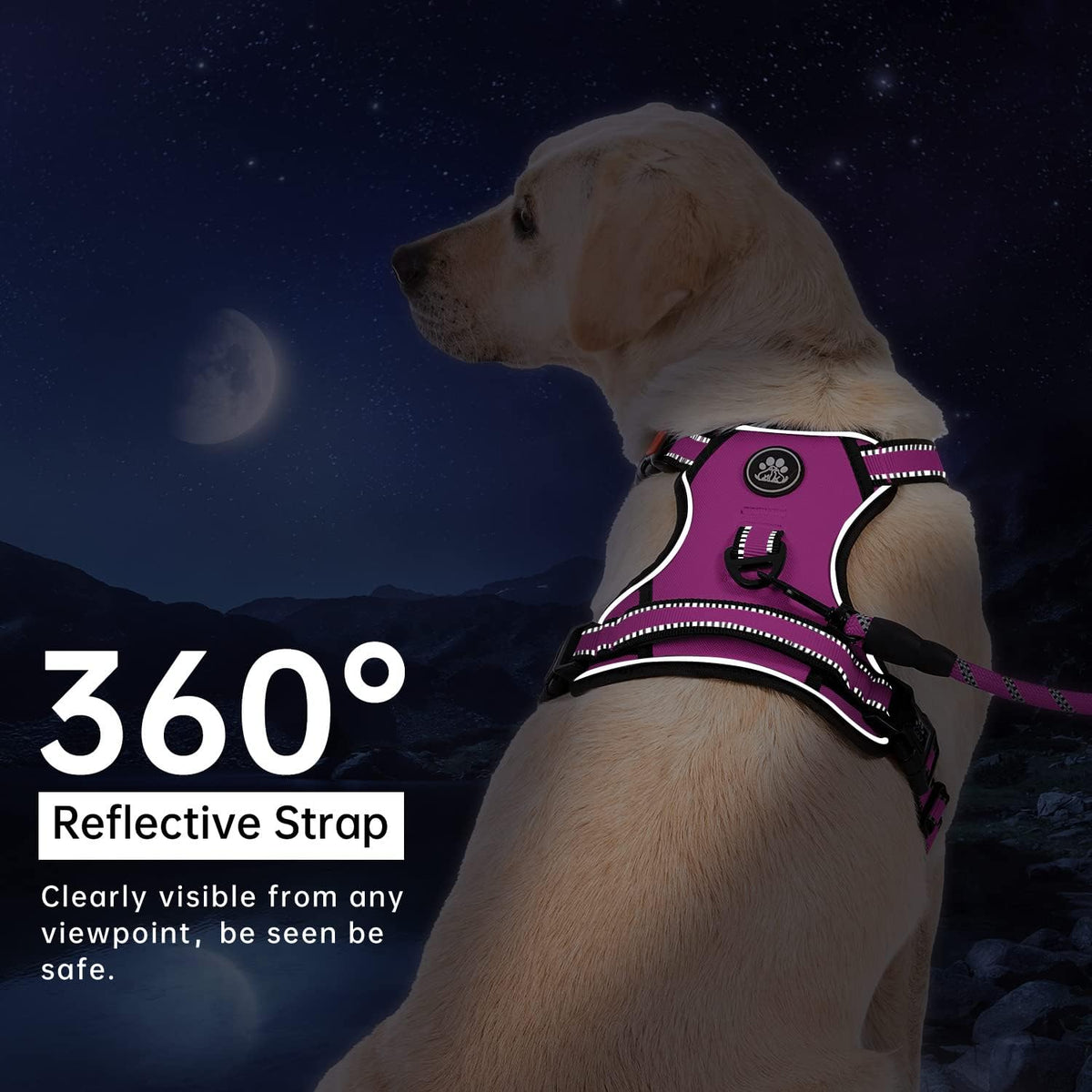 IVY&LANE No Pull Dog Harness for Small Dogs, Dog Vest Harness with Leash, Safety Belt and Storage