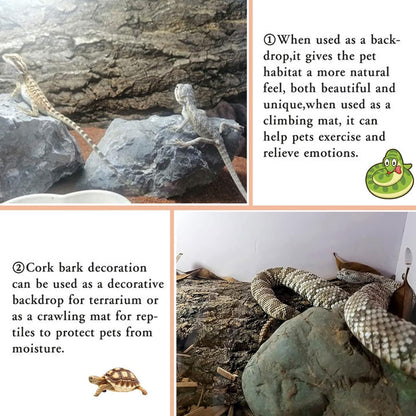 BNOSDM Reptile Cork Bark Tank Background Lizard Terrarium Wall Decor for Bearded Dragon Frog