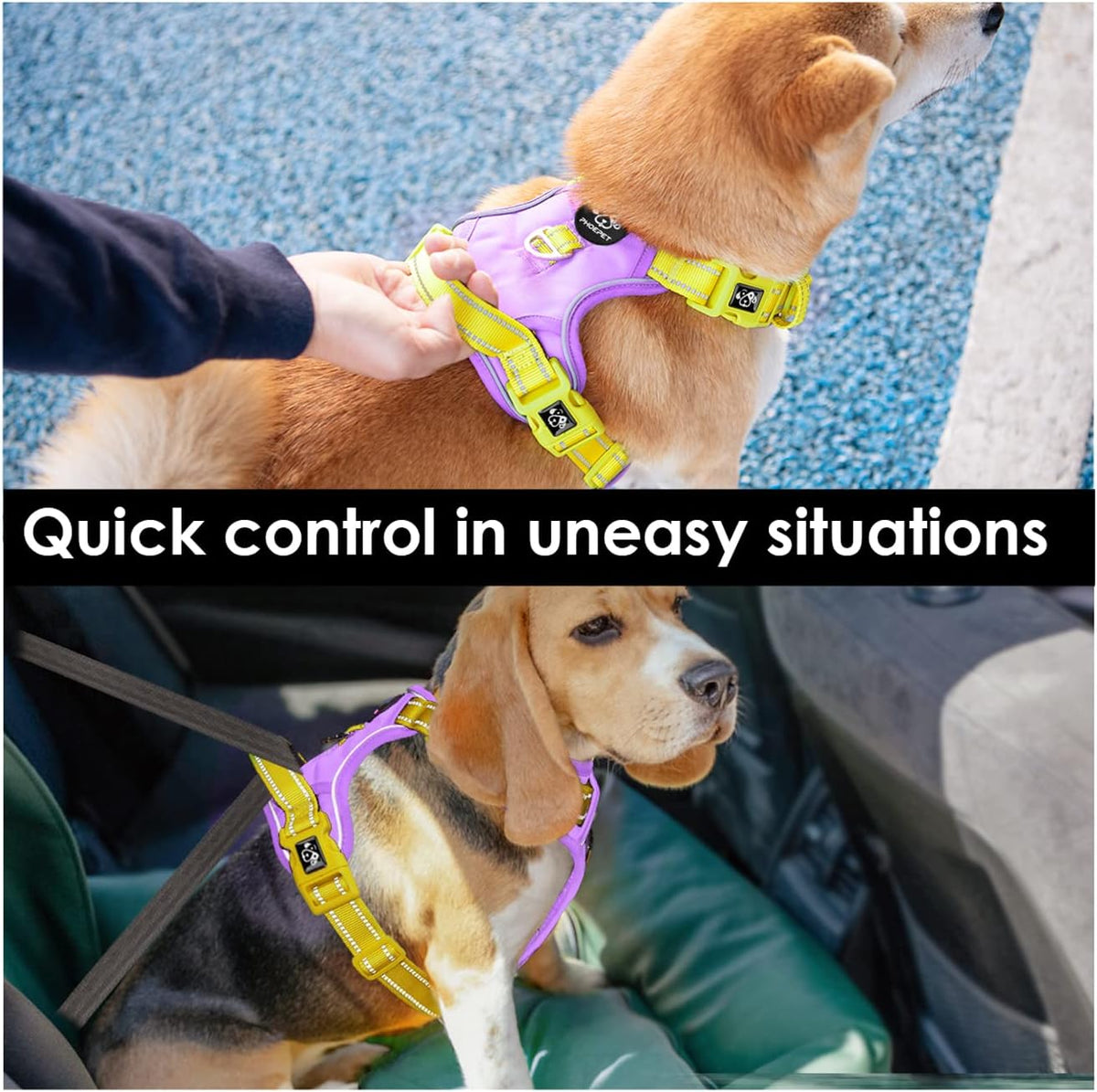 PHOEPET No Pull Dog Harness, Unique Colors Reflective Adjustable Dog Vest, with Soft Training