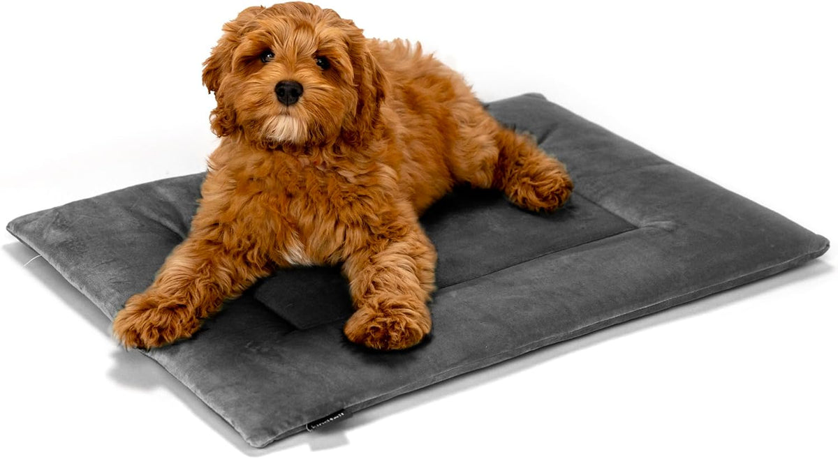 KindTail Dog Crate Pad - Soft Velvet, Reversible Bed - Machine Washable Kennel Mat for Pets up to