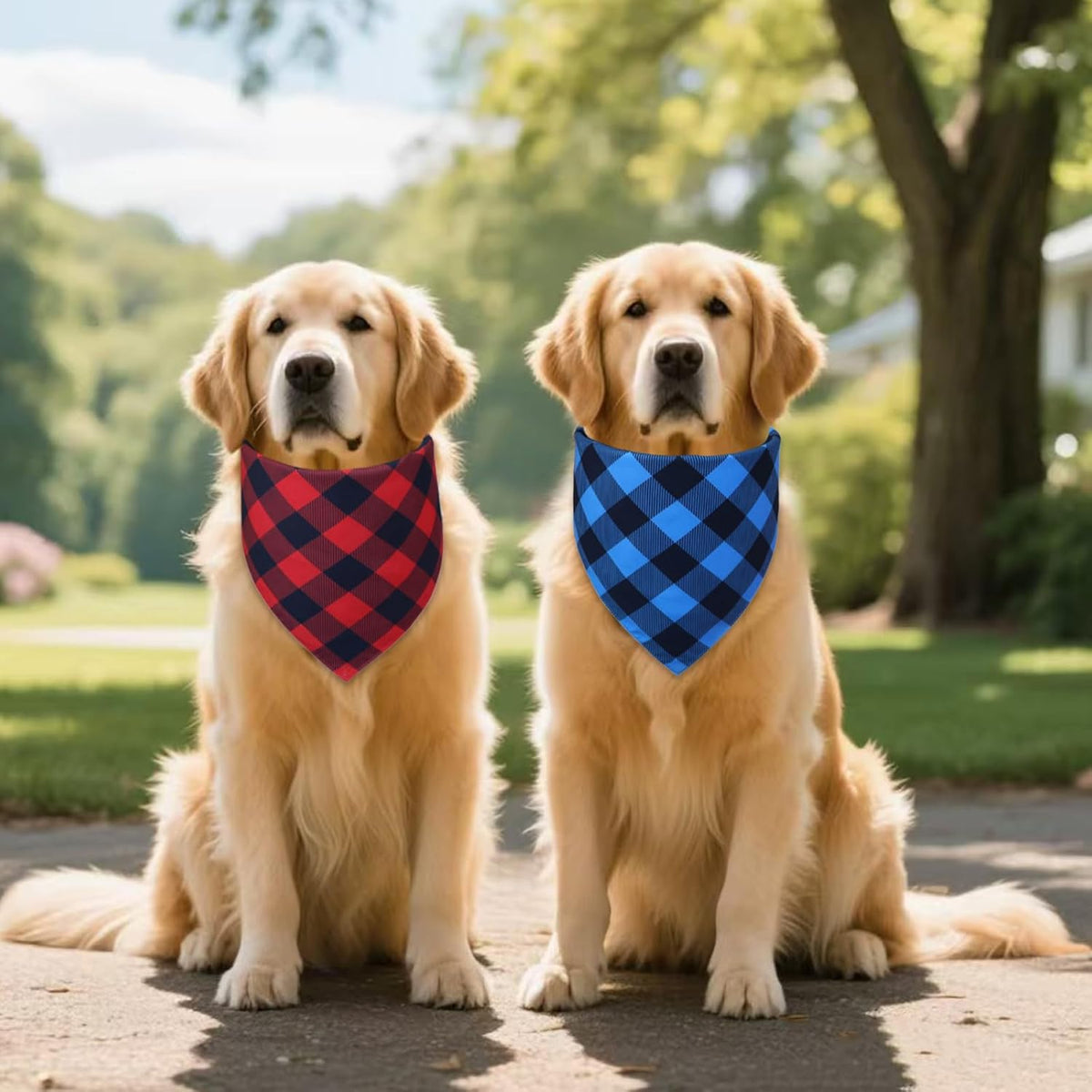 Plaid Dog Bandanas 2-Pack for Small Dogs, Red-Black & Blue-Black Buffalo Check Set - Adjustable