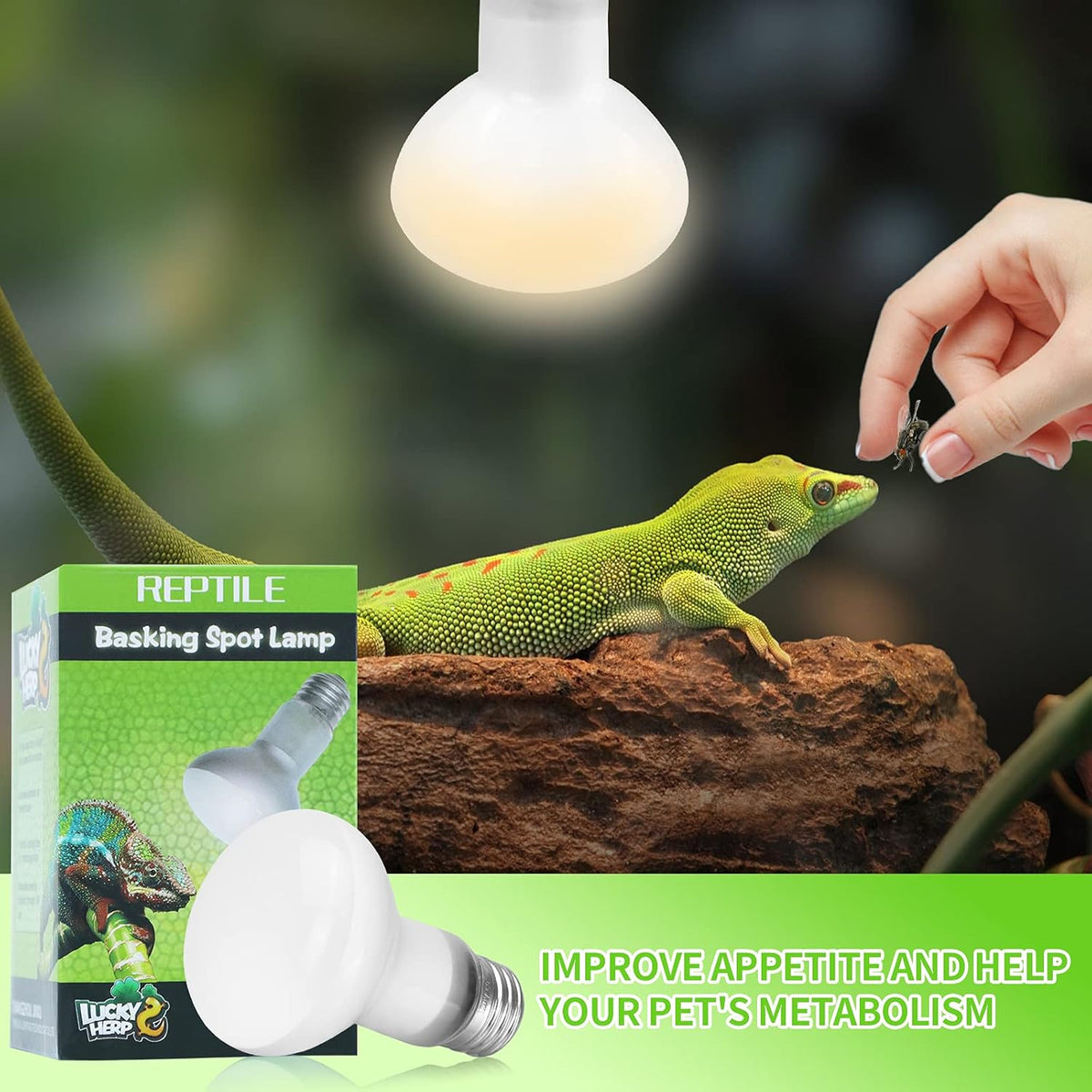 LUCKY HERP Reptile Heat Lamp - 100W (2nd Gen) Heat Lamp Bulbs for Reptiles 2 Pack, Amphibians