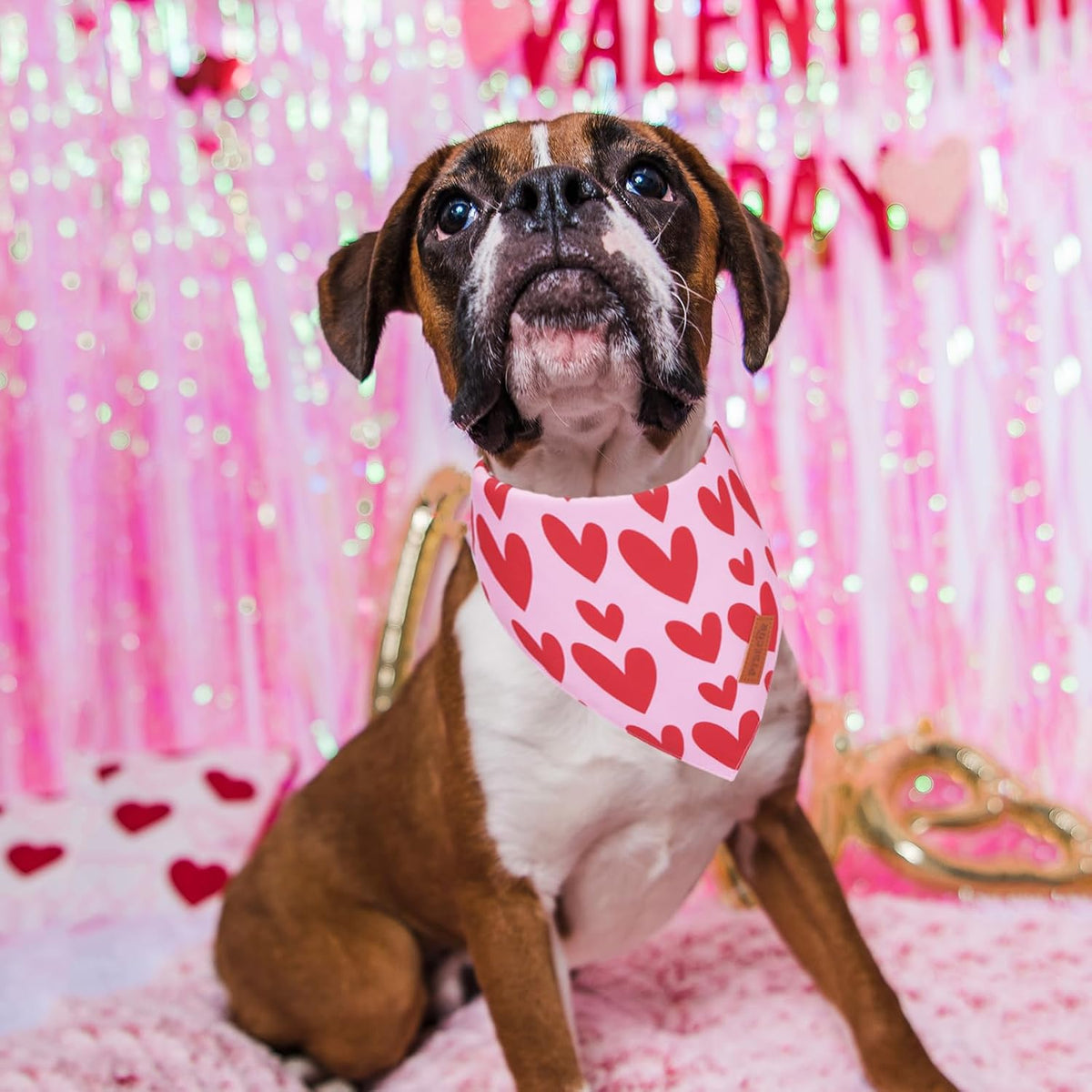 PTDECOR Valentine Dog Bandana, Reversible Valentine Pet Scarf, Multi Size, Red Heart Bandanas for