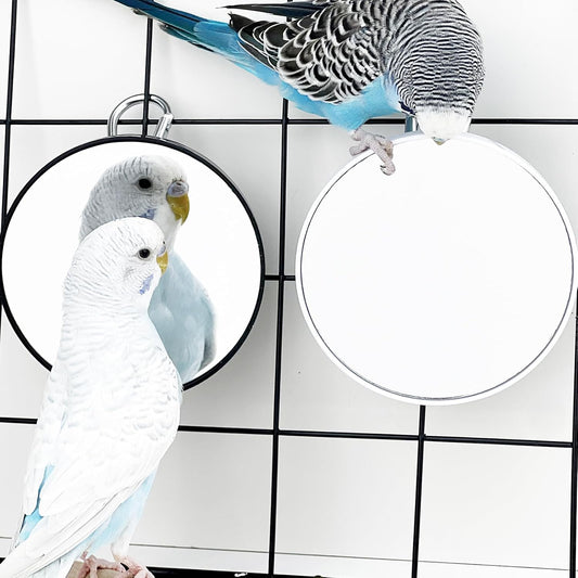 FlidRunest 2PCS Bird Mirror Toy for Cage, 10X Bird Parrot Interactive Playing Cage Toy with Hook