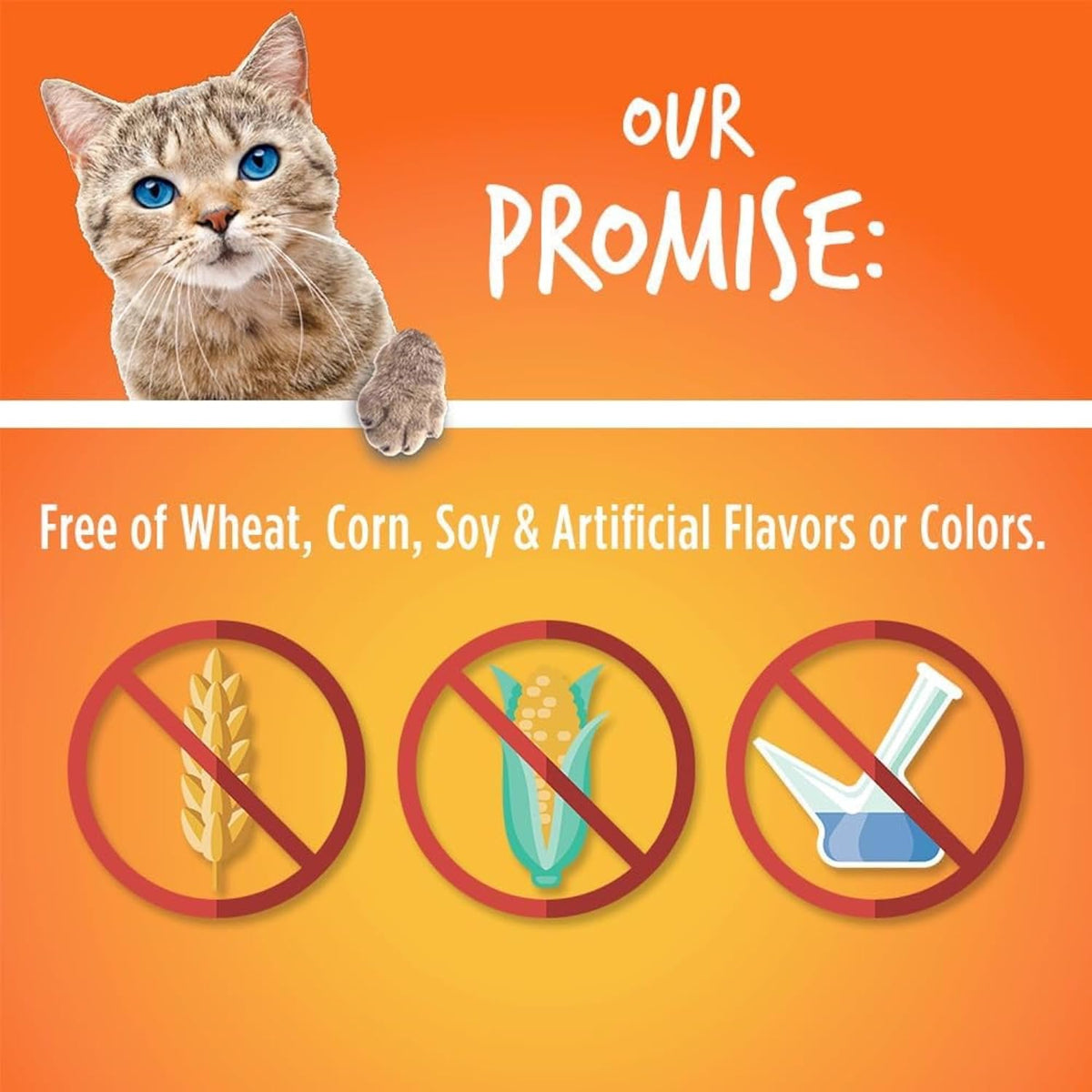 Fruitables Cat Treats, Healthy Treats For Cats, Low Calorie and Packed with Protein, Crunchy