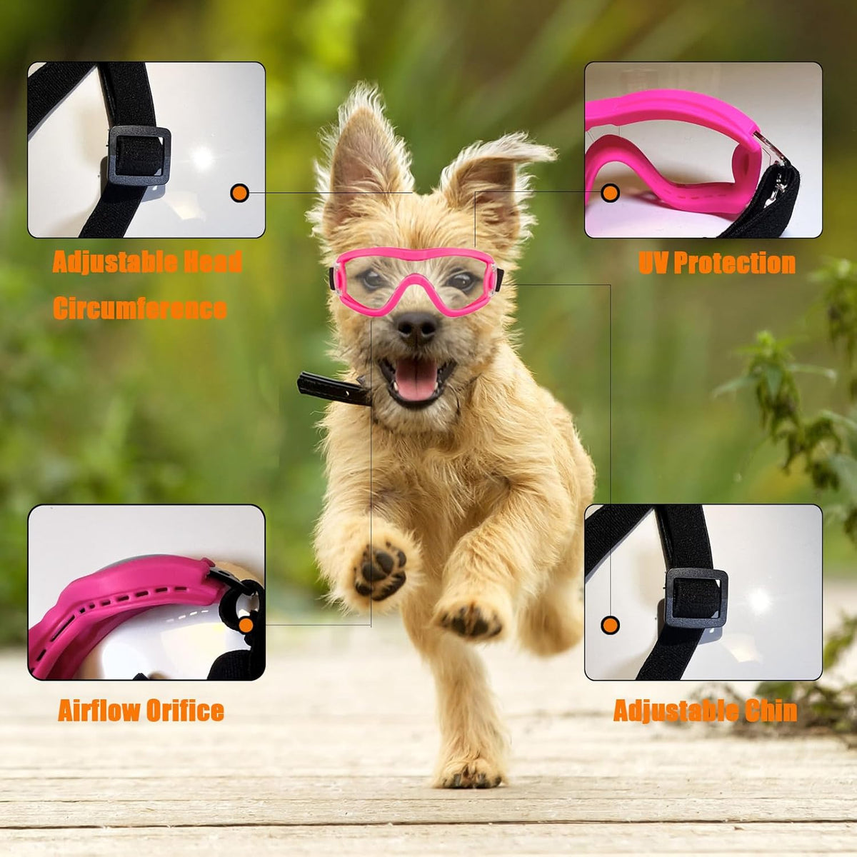 Dog Goggles Small Breed Dog Sunglasses with Adjustable for UV Protection Eyewear Doggy Doggie Puppy