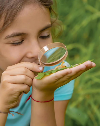 ROBUD Upgraded Kids Explorer Kit, Bug Catcher Kit with Wild Adventure Binoculars, Green Outdoor