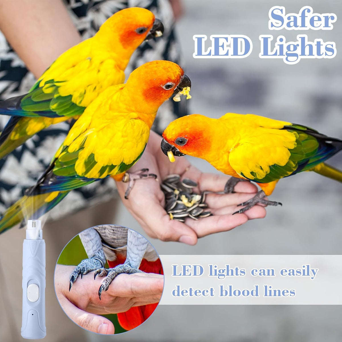 Lasnten 2 Pcs Bird Nail Grinder with Bird Nail Clipper Bird Nail Trimmer Bird Nail File with LED