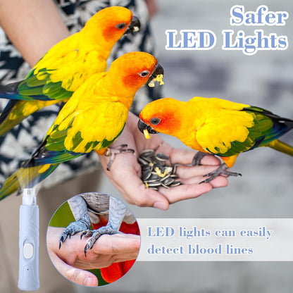 Lasnten 2 Pcs Bird Nail Grinder with Bird Nail Clipper Bird Nail Trimmer Bird Nail File with LED