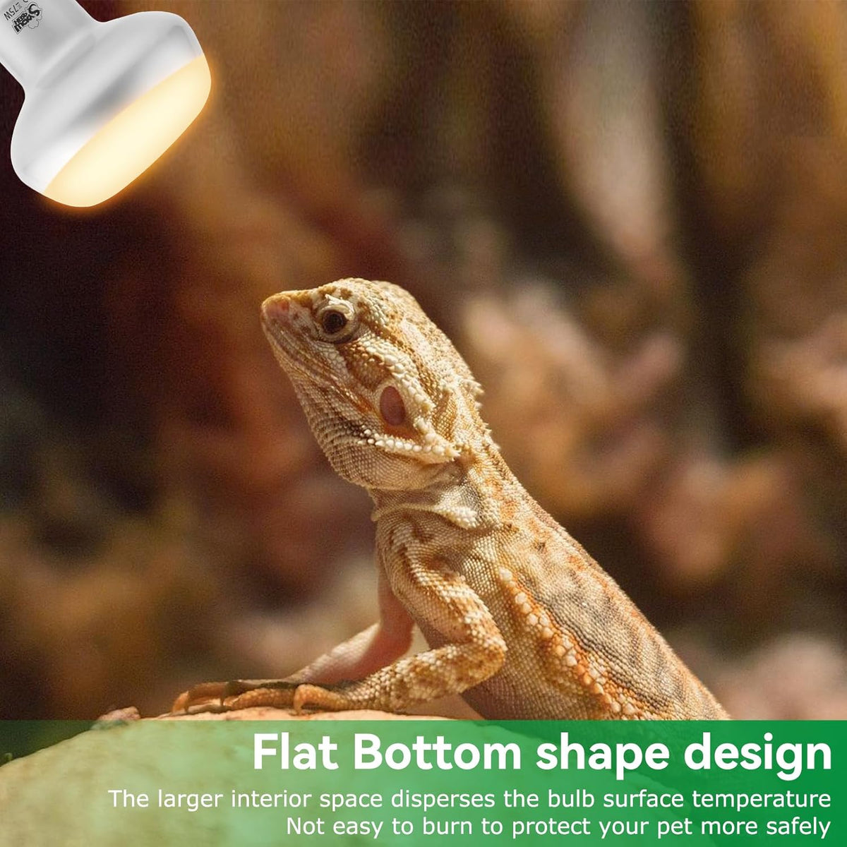 LUCKY HERP Intense Heat Lamp Bulbs for Reptiles 75W 2 Pack, UVA Daylight Reptile Heat Lamp, Reptile