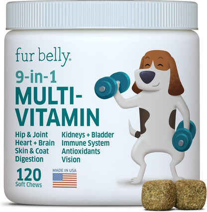 Dog Multivitamin - Dog Vitamins and Supplements - Digestive Enzymes & Probiotics - Probiotics for