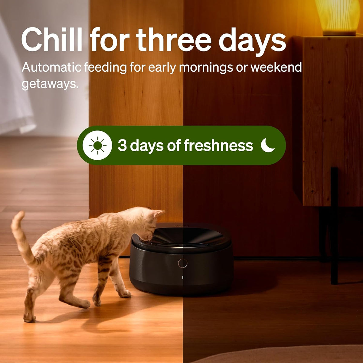 PETLIBRO Automatic Cat Feeder Wet Food with Stainless Steel Bowl, Refrigerated Auto Cat Feeder with