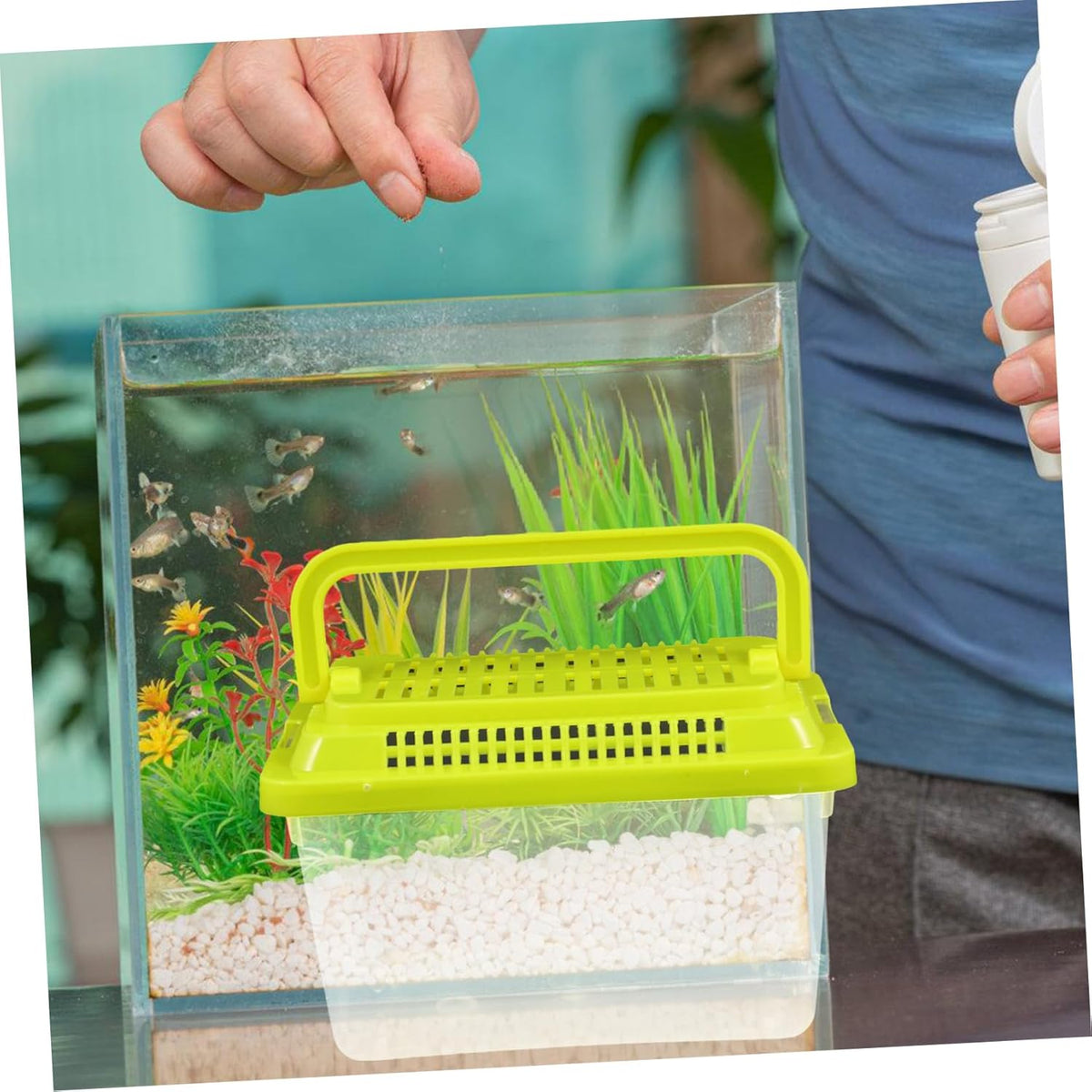 Transparent Plastic Turtle Fish Tank, Reptile Carrier, Feeding Tank, Glass Containers, Amphibia