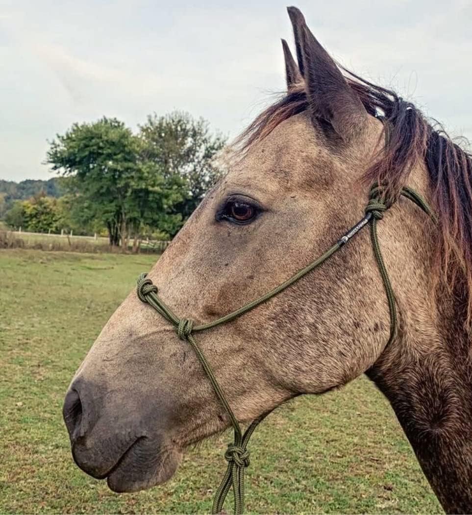 Horse Rope Training Halter - 4 Knot 1/4" Stiff Halter Cord - Used by Famous Trainers Multiple Sizes