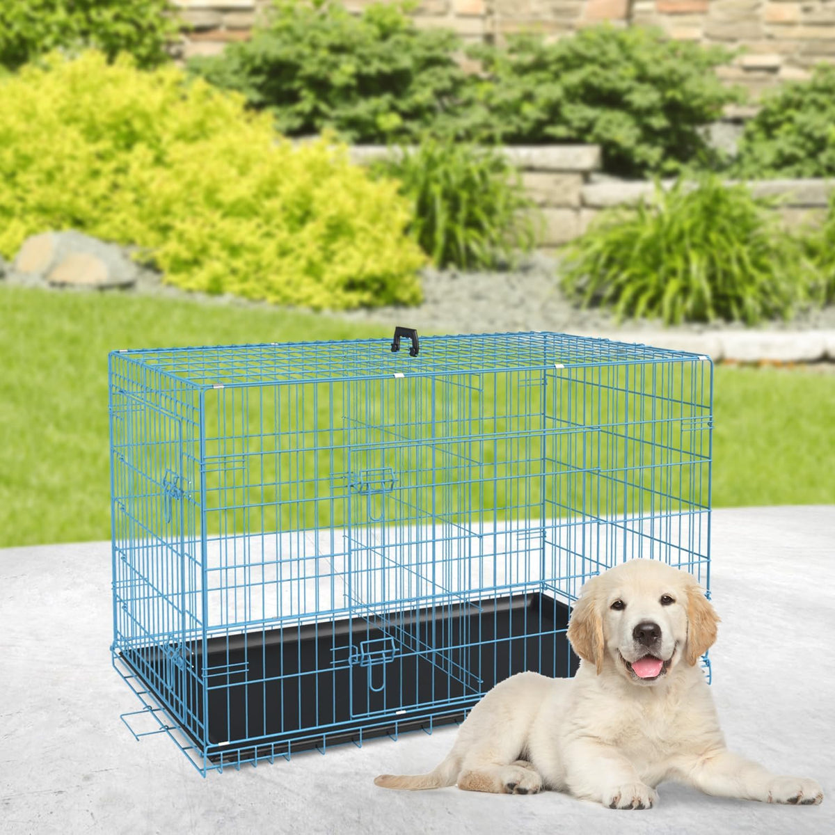 BestPet | Dog Crate | 24" | Blue | Foldable Metal Kennel with Double Doors, Secure Slide-Bolt