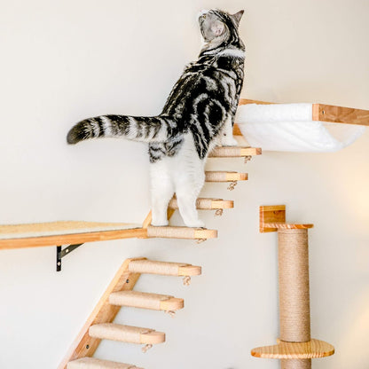 FUKUMARU Cat Wall Furniture, 3 Pack Cats Walls Shelves Set, Solid Rubber Wood Kitten Shelf for