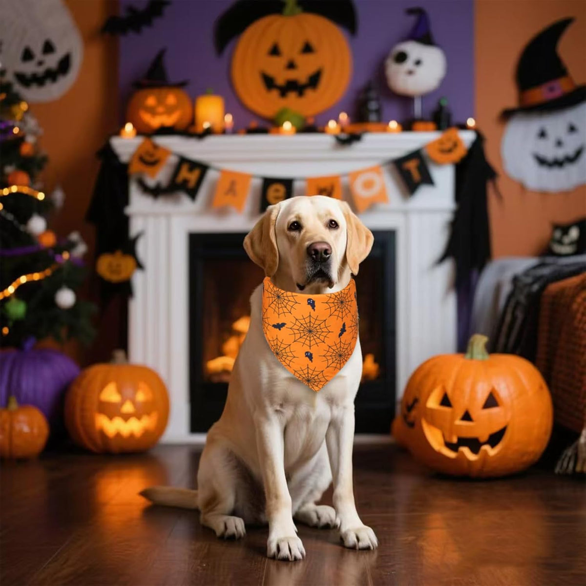Halloween Dog Bandana for X-Large Dogs - Reversible Orange Jack-o-Lantern & Spiderweb Print Scarf