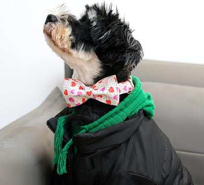 Lionet Paws Valentines Day Dog Collar with Bowtie, Dog Bowtie Collar with Metal Buckle for Dogs
