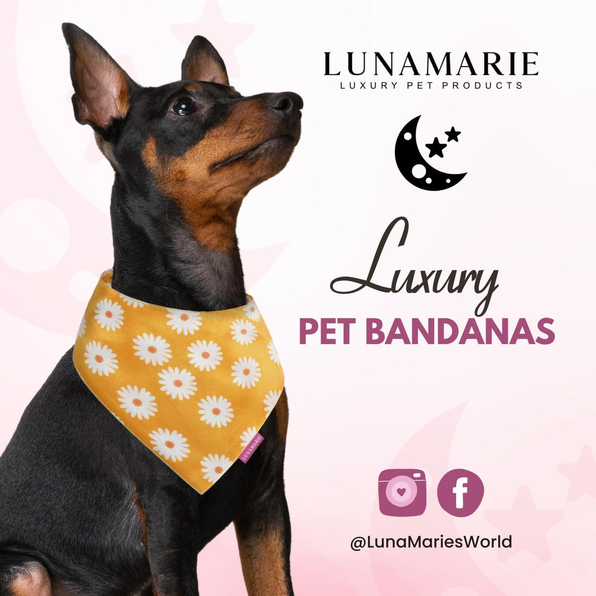 LunaMarie - Luxury Pet Birthday Bandanas -Premium & Silky Poly Fabric | 100% Handmade | Custom
