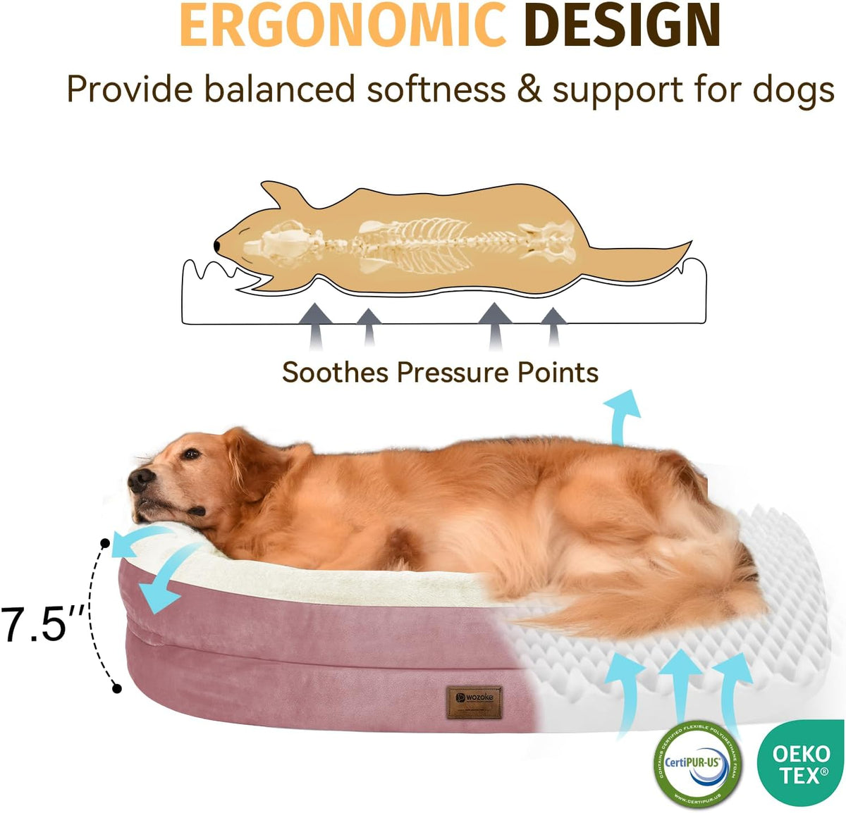 Orthopedic Waterproof Large Dog Bed: Memory Foam Washable Dog Bed with Bolsters - XL Removable