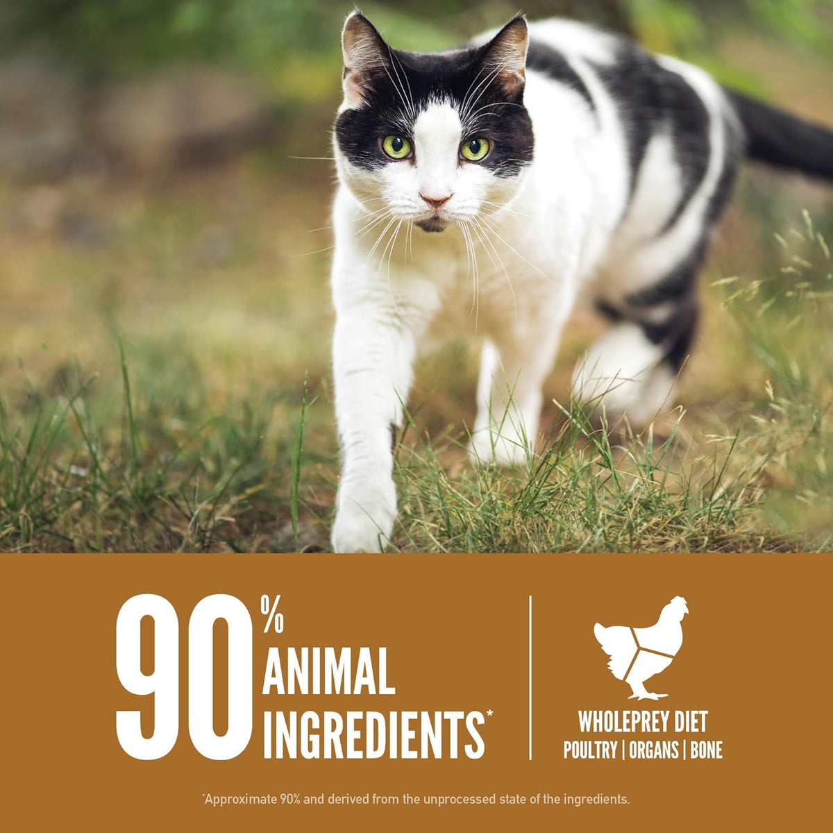 ORIJEN Grain Free High Protein Premium Dry Cat Food Original Recipe 7lb Bag