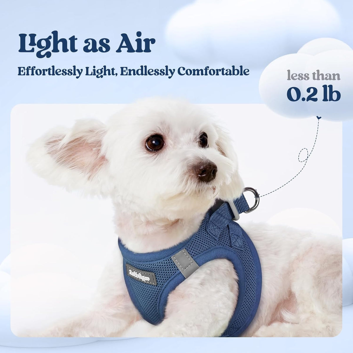 rabbitgoo Dog Harness Small Sized and Leash Set, Step in Soft Light Puppy Vest, Breathable Mesh Pet