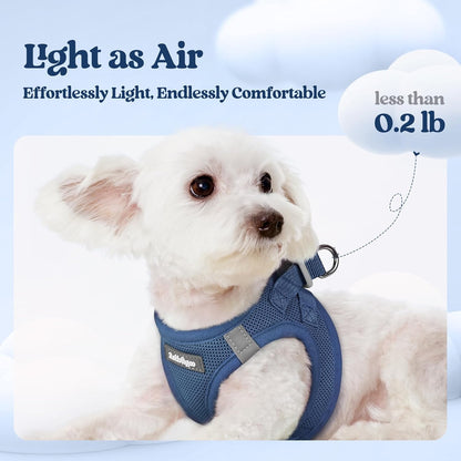 rabbitgoo Dog Harness Small Sized and Leash Set, Step in Soft Light Puppy Vest, Breathable Mesh Pet