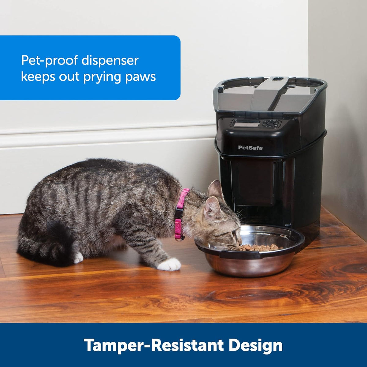 PetSafe Automatic Cat Feeder - Healthy Pet Simply Feed - Automatic Pet Feeder for Cats & Dogs