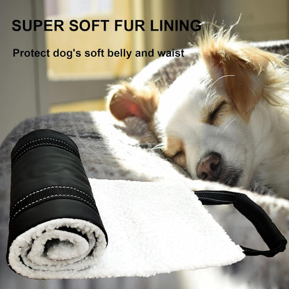 Dog Lift Harness - Adjustable Sling for Rear Legs with Soft Support for Senior, Injured, Disabled