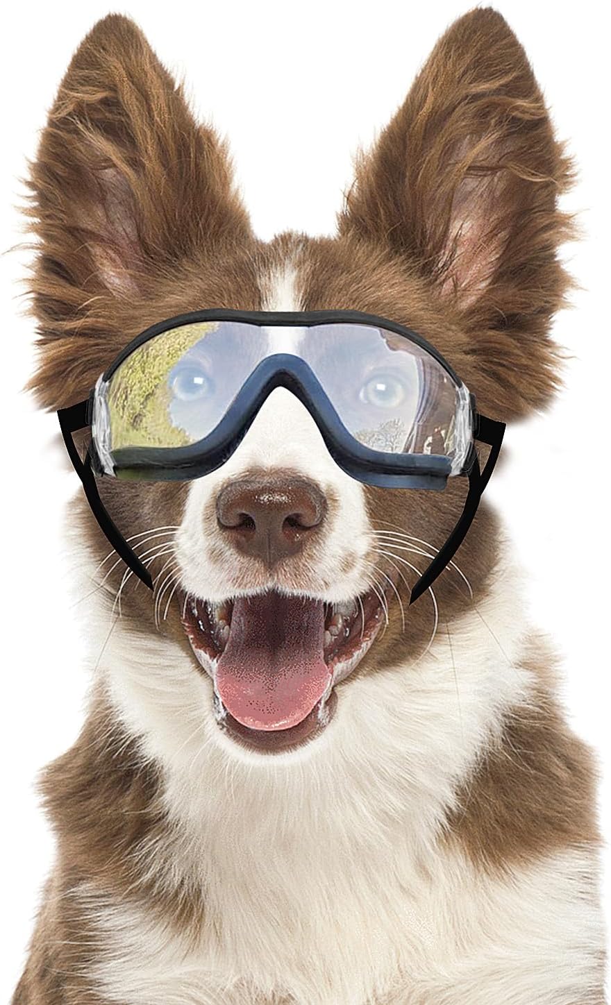 Dog Goggles Anti-UV Windproof Dog Sunglasses Eye Protection for Medium Large Dogs with Adjustable