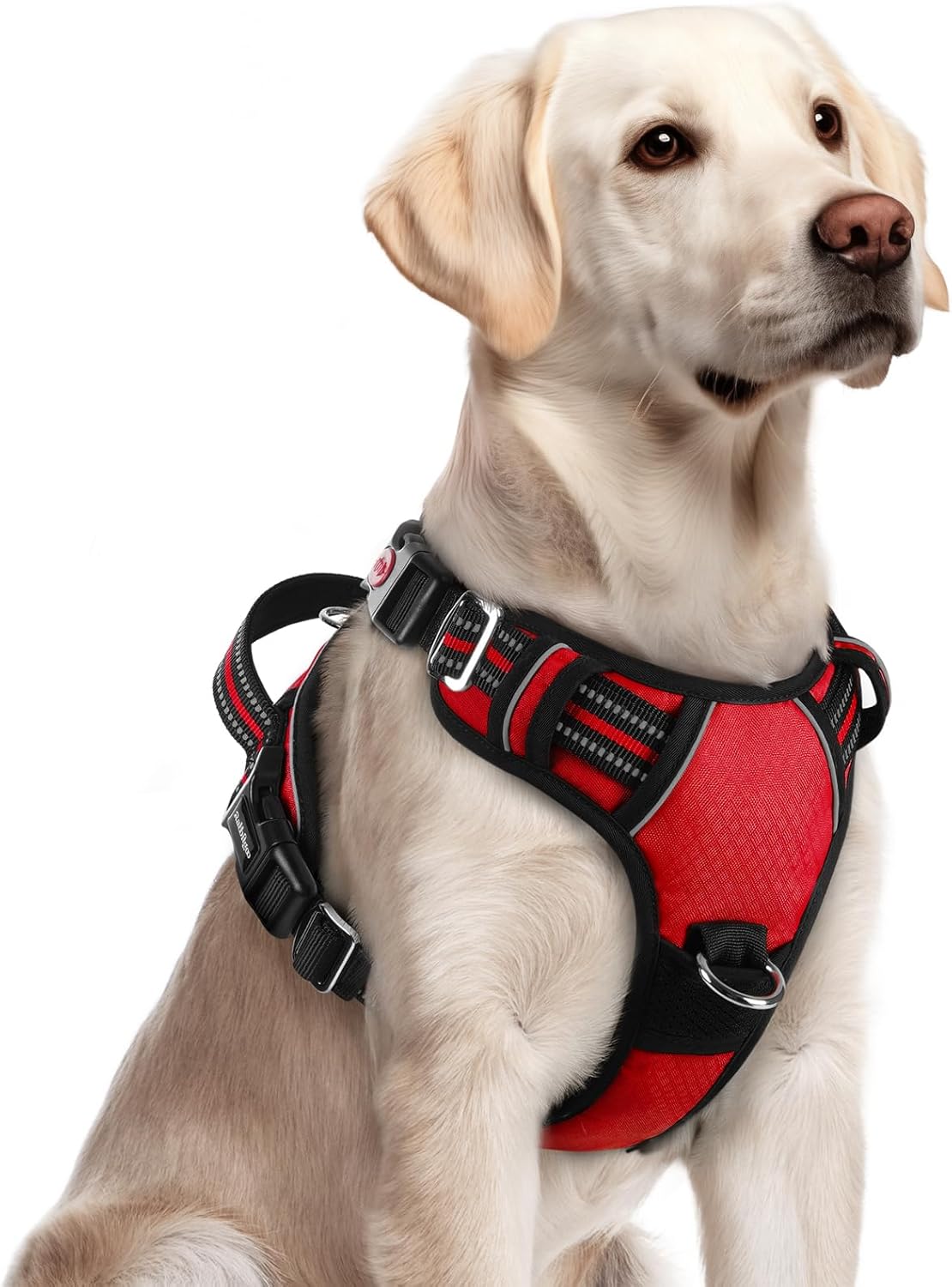 rabbitgoo Dog Harness for Large Dogs, No Pull Pet Vest with 3 Buckles, Adjustable Soft Padded Pet