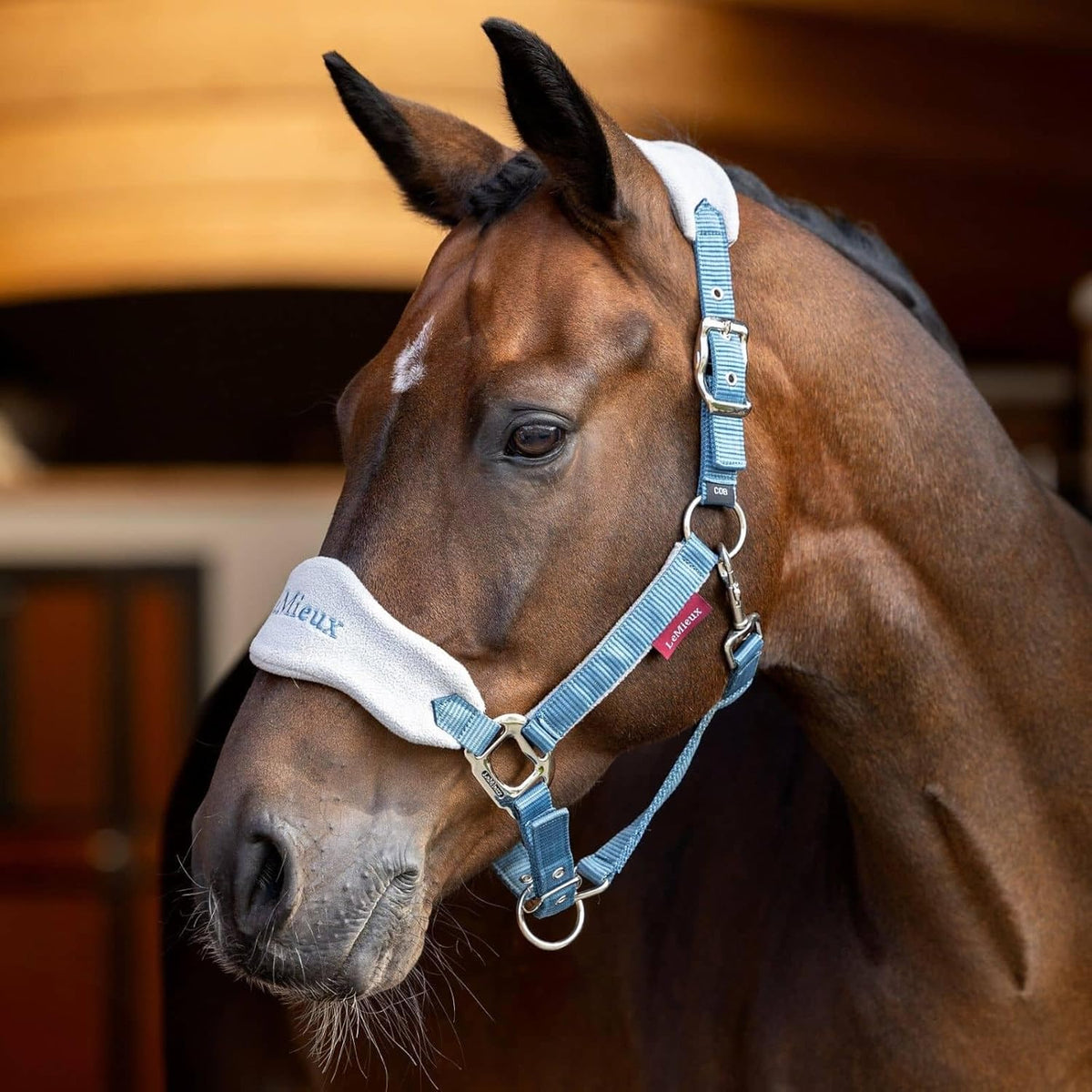 LeMieux Vogue Fleece Headcollar - Halter & Leadrope - Extra Padding, Adjustable at Curb and Poll