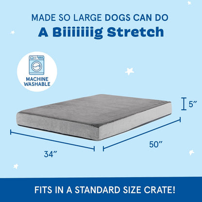 Barkbox Orthopedic Dog Bed with Memory Foam, Premium Comfort for Dogs and Puppies, Dog Bed for