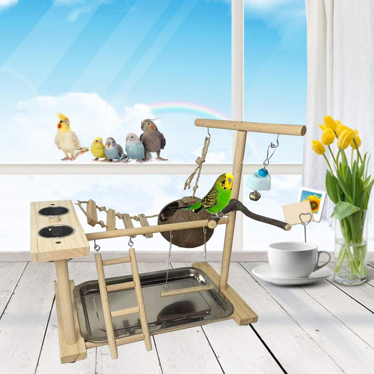 Parakeet Playground Bird Play Stand Natural Wood Perch Gym Parrots Nest Climb Swing Ladders with