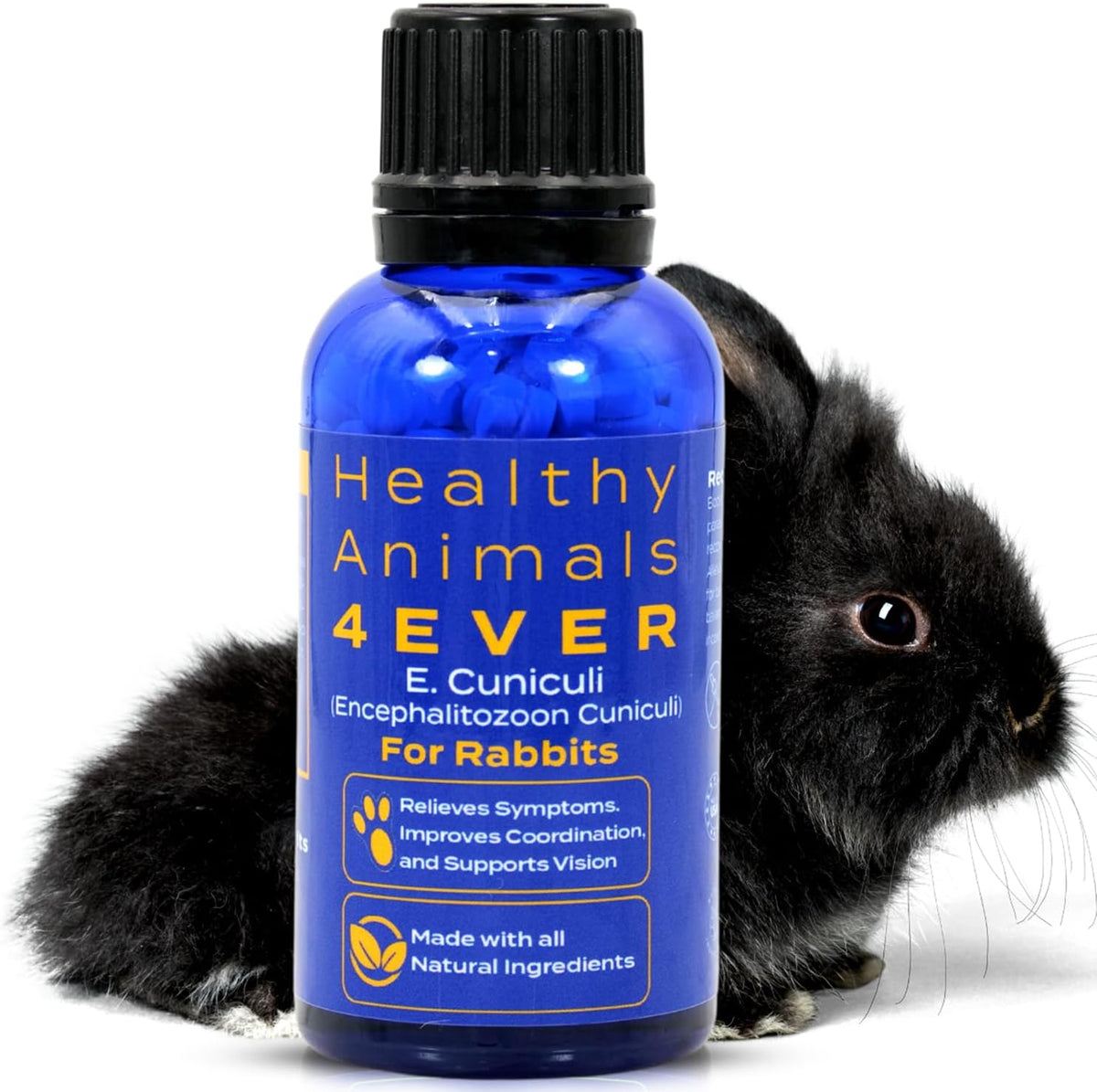 HA4E - Rabbit E. Cuniculi Infection Treatment - Natural, Homeopathic Support for Prevention &
