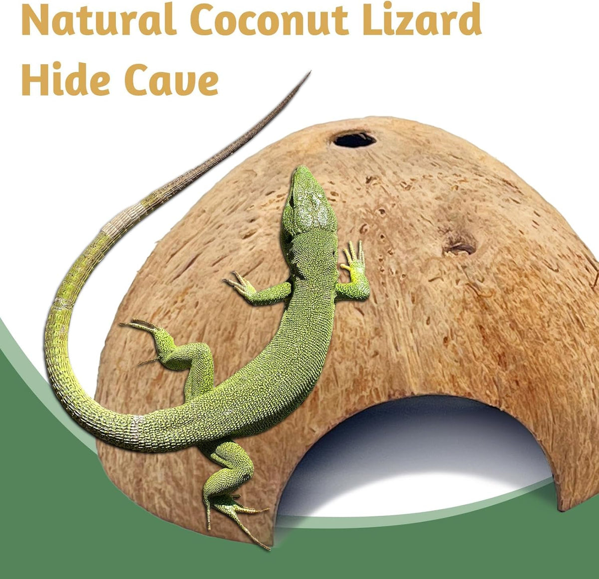PINVNBY 2 PCS Natural Coconut Reptile Hideouts Lizard Coco Hut Hermit Crab Hut Aquarium Fish Hide