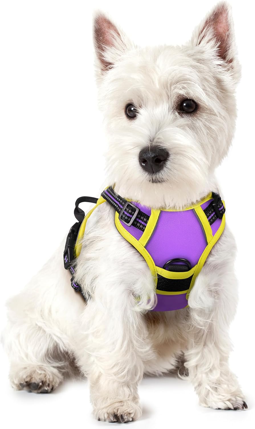 rabbitgoo Dog Harness No Pull with 2 Leash Clips, Adjustable Soft Padded, Reflective Oxford No