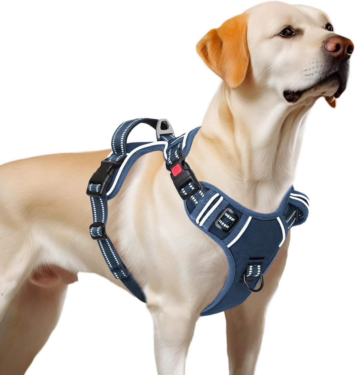 Timos Dog Harness Large Sized, No Pull Pet Harness with Neck Lockable Snap,No Choke Front Clip Dog